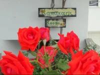 Kamakaris Rooms 