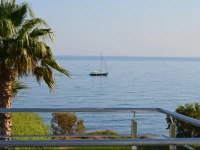 Thalasses 