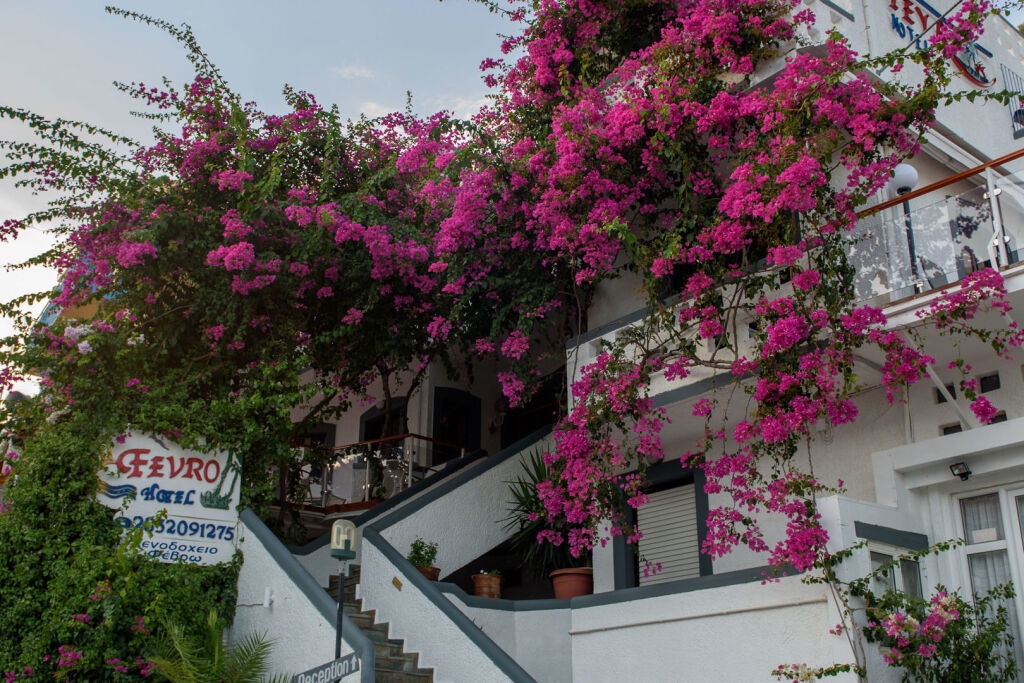 Fevro Hotel 