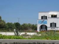 Dolphin Studios 