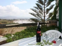 Panoramic View 
