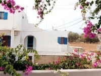 Villa Lefkes 