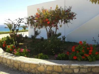Studios Fokia Beach 