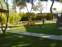 Adonis Beach Hotel 