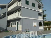 Amarylis Studios 