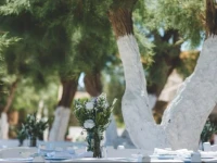 Beach House Antiparos 