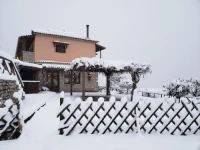 Dryades Guesthouse 
