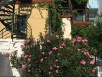 Melissa Apartments 