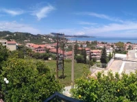 Olive Tree Apartments 
