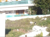 Petros House 