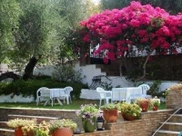 Pension Gerania 