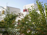 Astypalea Villas 