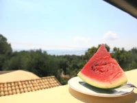 Olgas Beach Villas 