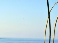 Nikoletas Studios 