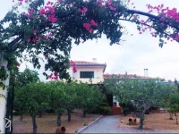 Pistachio House in Aegina 