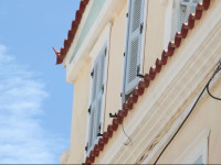Mavrikakis Studios