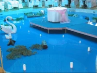 Hotel Aigli 3*