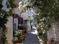 Patras Rooms 