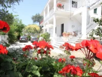 Angeliki Studio and Apartment 