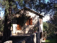 The "M" House 