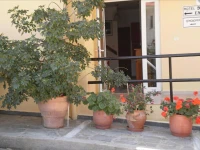 Drosia Hotel 