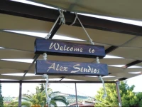 Alex Studios 
