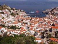 Hydra Erato 
