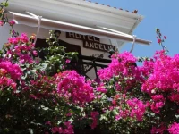 Hotel Angeliki 
