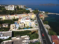 Zotis 