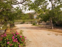 Agroktima 