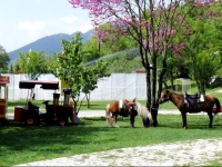 Ninemia Bungalows Hotel 