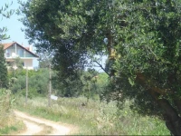 Villa Georgina B&B 
