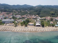 Island Beach Bamboo 