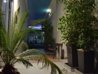 Alena Apartments 
