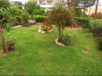 Doras House 