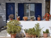 Fabio Studios 