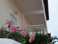 Agios Sostis 