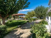 Avouris Studios 