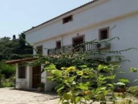 Alekos Rooms and Apartments 