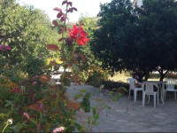 Alekos Rooms and Apartments