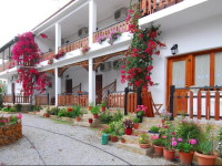 Vergonis Studios