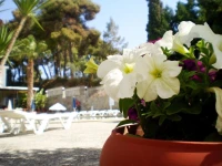 Hotel Megara 