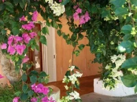 Constantinos Apartments 