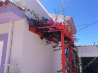 DK House 