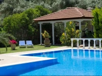 Villa Dimitris Apartments & Studios 