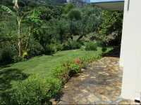 Triantis Home 