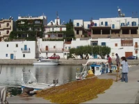 О¤he White Houses / Τhe White Houses 