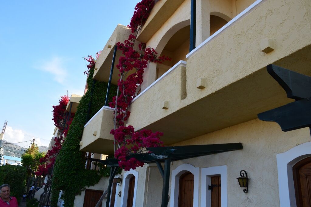 Malia Studios Hotel-Apartments 