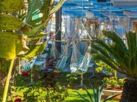 Galini Holidays 