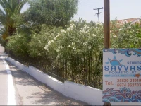 Studio Savvas 